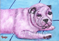 Daily Paintings - Animals by artist DJ Geribo - Bulldog Bruiser