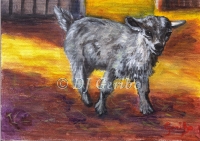 Daily Paintings - Animals by artist DJ Geribo - Little Goat Walking in Sunshine