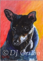 Daily Paintings - Animals by artist DJ Geribo - Min Pin Peaceful