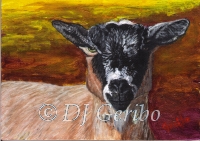 Daily Paintings - Animals by artist DJ Geribo - Oberhalsi Goat