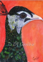 Daily Paintings - Animals by artist DJ Geribo - Pretty Peacock