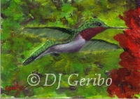 Daily Paintings - Animals by artist DJ Geribo - Ruby Throated Hummingbird