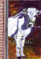Daily Paintings - Animals by artist DJ Geribo - Waiting His Turn