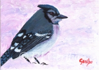 Daily Paintings - Animals by artist DJ Geribo - Winter Bluejay