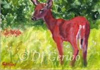 Daily Paintings - Animals by artist DJ Geribo - Red White-Tail Deer