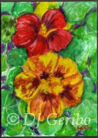 Pretty Pansies - Painting by artist DJ Geribo